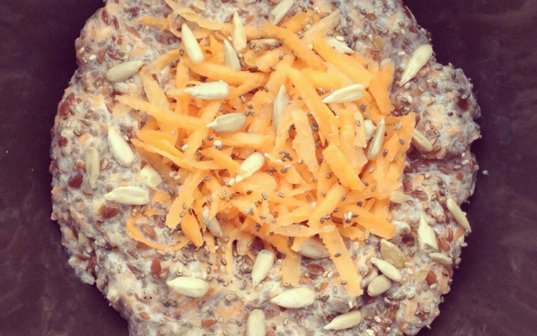 Porridge protéiné de chia & lin aux carottes